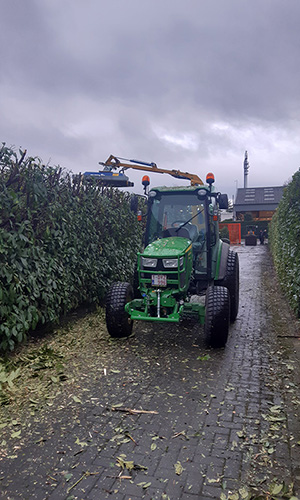 machinaal snoeien
