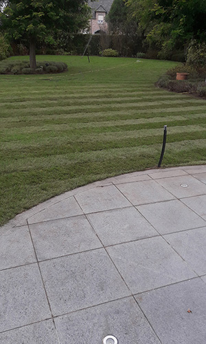 plaatsen graszoden