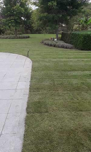 plaatsen graszoden
