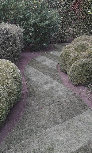 plaatsen graszoden