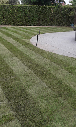 plaatsen graszoden