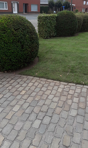plaatsen graszoden