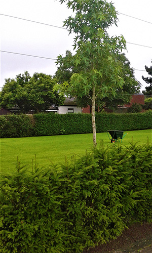 realisatie oelegem