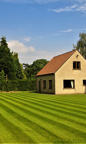 realisatie oelegem