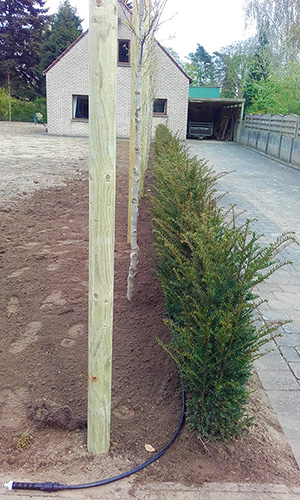 realisatie oelegem