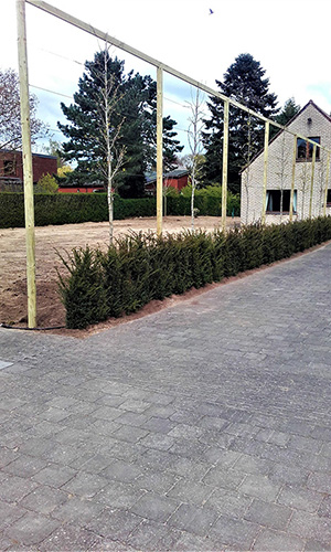 realisatie oelegem