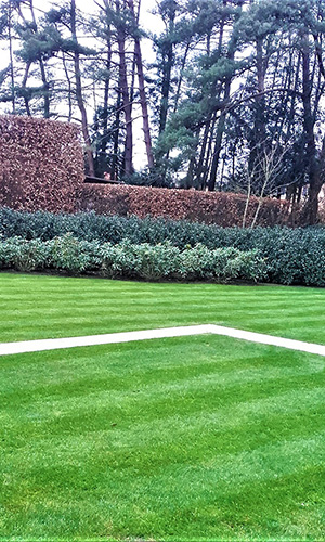 sfeerbeelden tuinonderhoud