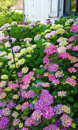 sfeerbeelden tuinonderhoud