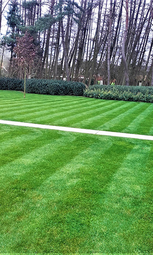 sfeerbeelden tuinonderhoud