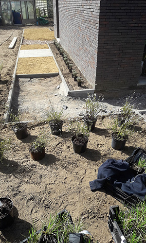 totaal project oelegem